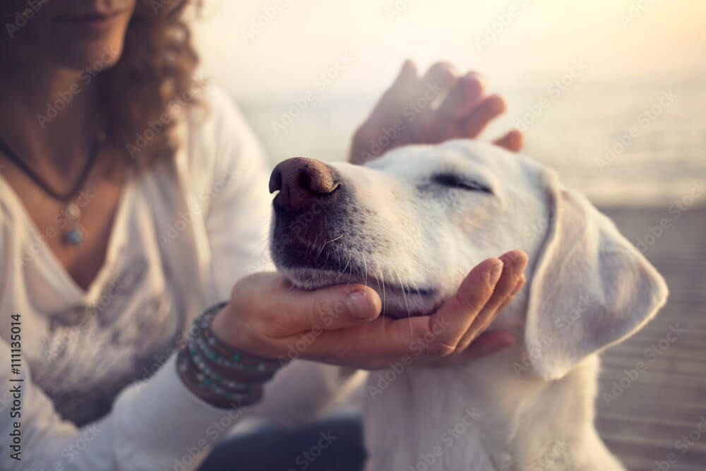 ペットちゃんとの思い出